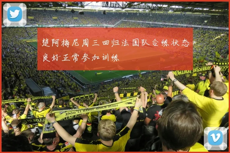 楚阿梅尼周三回归法国队合练状态良好正常参加训练