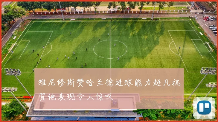 维尼修斯赞哈兰德进球能力超凡祝贺他表现令人惊叹