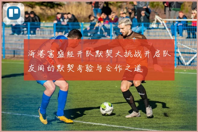 海港富盛经开队默契大挑战开启队友间的默契考验与合作之道